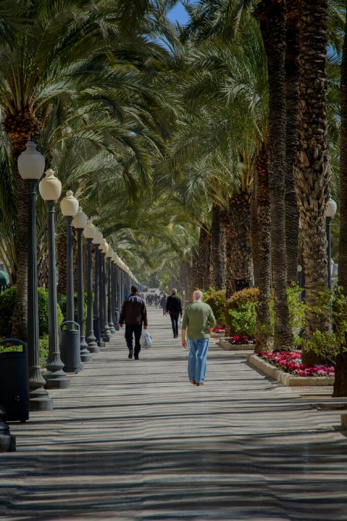 alicante rambla